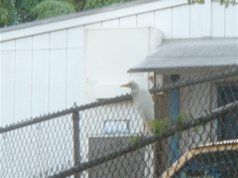 DSC07658.JPG