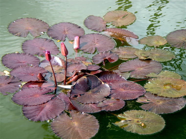 DSC07770.JPG
