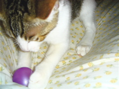 DSC07915.JPG