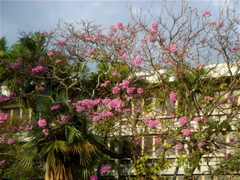 DSC07756.JPG