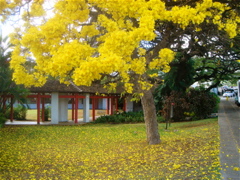 DSC07763.JPG