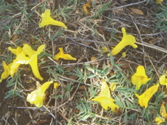 DSC07766.JPG