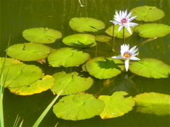 DSC07769.JPG