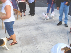 DSC07919.JPG