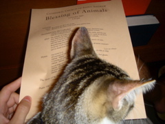 DSC07934.JPG