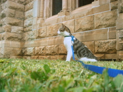 DSC07954.JPG