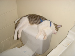 DSC07886.JPG