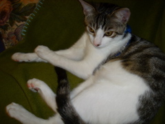 DSC07893.JPG