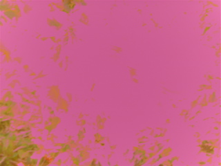 DSC09165.JPG