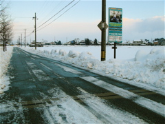DSC06001.JPG