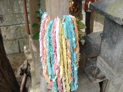 DSC04909.JPG