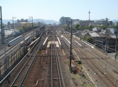 DSC06791.JPG