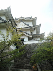 DSC07375.JPG
