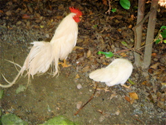 DSC07397.JPG