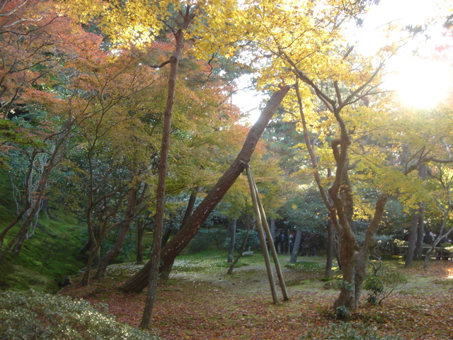 DSC03345.JPG