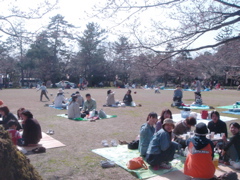 DSC03808.JPG