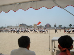 DSC04408.JPG
