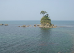 DSC04495.JPG