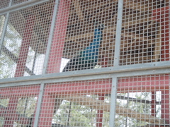 DSC04505.JPG
