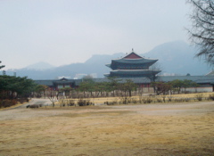 DSC06417.JPG