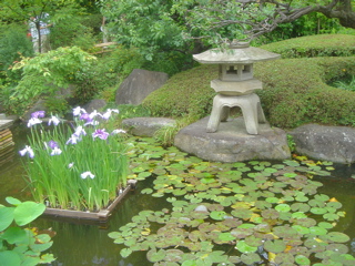 DSC08262.JPG