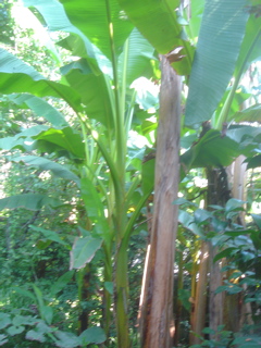 DSC08830.JPG
