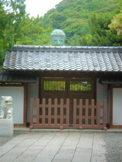 DSC08338.JPG